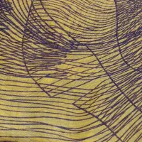 چادر دوخته نگینی|لباس|بندرعباس, |دیوار