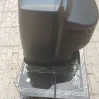 تلویزون