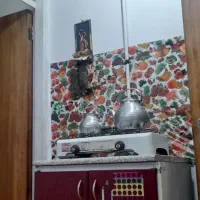 سوئیت|اجارهٔ کوتاهمدت آپارتمان و سوئیت|مرودشت, ژیان|دیوار