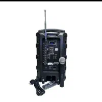 اکو همراه تایگر2020بانداکتیوشارژی|سیستم صوتی خانگی|زنجان, |دیوار