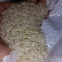 برنج عنبربو شوشتر درجه یک