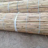 حصیر بافی|صنایع دستی و سایر لوازم تزئینی|گنبد کاووس, |دیوار