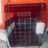 باکس سگ و گربه|لوازم جانبی حیوانات|آمل, |دیوار