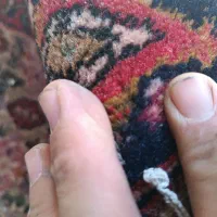 دو تخته قالی دست بافت|فرش|کاشان, اسدآباد|دیوار
