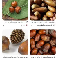 بلوط میارم هرجایی که شماخواستین