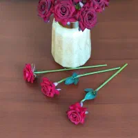 گل رز شیک