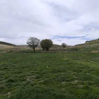 زمین 500 متری سه چاه کلستان (سر چشمه) بعد از گویم