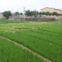 منزل نیمه کاره|فروش خانه و ویلا|چغادک, |دیوار