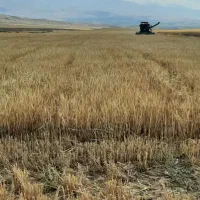 زمین کشاورزی نزدیک پایاب سد سبلان...