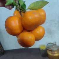 زن ومردخانواده ومجرد