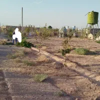 زمین سندتک برگ روبروی شهرک خانه