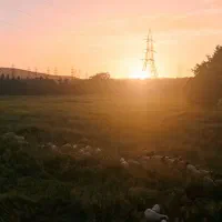 زمین پگاه رزم آوران