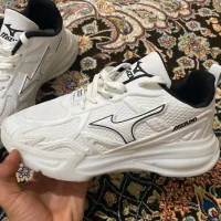 کفش نو|کیف، کفش، کمربند|کهک, |دیوار