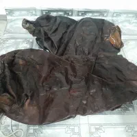 مشک دوغ سالم