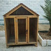قفس پرنده