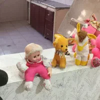 فروش عروسک و کیف بچهگانه|اسباب‌‌بازی|شیراز, شهرک صدا و سیما|دیوار