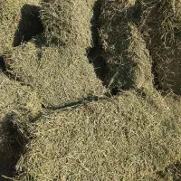 یونجه چین ۴