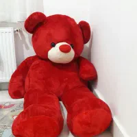 عروسک خرس بیگ سایز