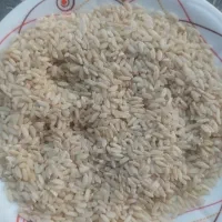 برنج چمپا