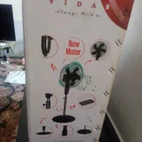 پنگه پایه دار زیبا وشیک