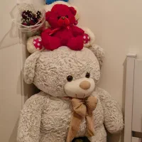 عروسک خرس پالیشی پاپیون دار مناسب هدیه ولنتاین|اسباب‌بازی بچه|تهران, گرگان|دیوار