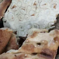 نان خشک