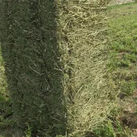 بیده  درجه یک ۳۵هزار