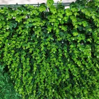 دونیای گرینوال دونیای چمن|گل مصنوعی|قائم‌شهر, |دیوار