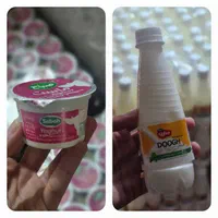 فروش انواع ماست و دوغ تکنفره ( عمده )