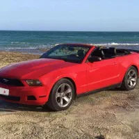 اجاره خودرو فورو موستانگ نیو کروک