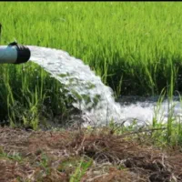 پیدا کردن رگه اصلی آب زیرزمین برای کشاورزی،باغداری