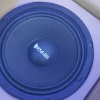 جفت میدرنج صفر تو کارتن