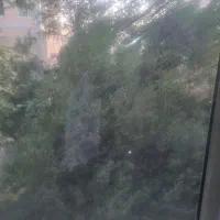مغازه تجاری بر ولیعصر پارک وی ۵۰متر