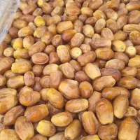 خرمای زاهدی وکبکاب پرس|عمدهفروشی|پیرانشهر, |دیوار