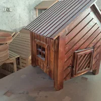 استخدام رنگ کار خانم