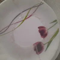 ظروف  ارکوپال