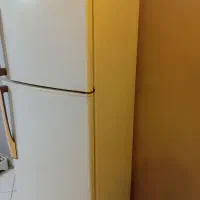 یخچال سالم مدل شوا