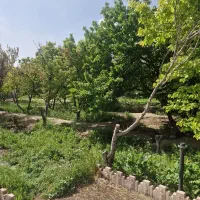 باغچه-از-400متر-به-بالا-بهترین-منطقه