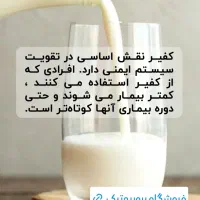 قارچ کفیر|خوردنی و آشامیدنی|آق قلا, |دیوار