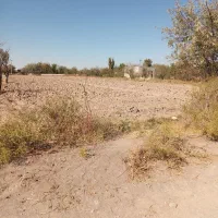 زمین|فروش زمین و ملک کلنگی|گوگان, |دیوار