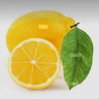 ابلیمو گیری خانگی