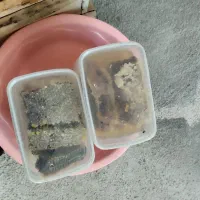 فزوش عسل طبیعی