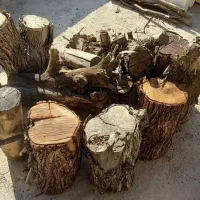 چوب خشک خشک|گل و گیاه طبیعی|بهبهان, |دیوار