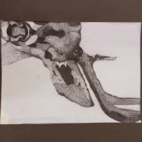ترام نقطه ،ترام چهره