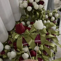 خانوم خوش سلیقه