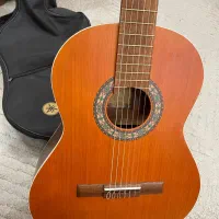 گیتار پارسی M6