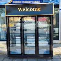 یخچال ایستاده موتور دانفوس