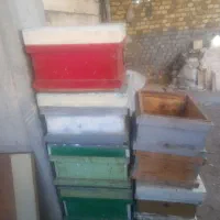 کندو زنبور عسل