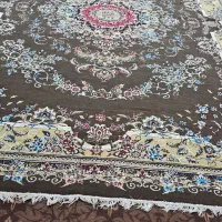 فاز چهار پردیس چهار|فرش|بندر امام خمینی, |دیوار