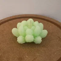 باکس گل جاویدان ، شمع های تکی|صنایع دستی و سایر لوازم تزئینی|سبزوار, امیر کبیر|دیوار